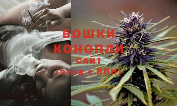 PSILOCYBIN Лабытнанги
