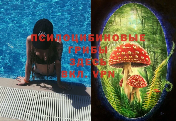 стафф Липки
