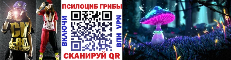 Псилоцибиновые грибы Psilocybine cubensis  закладки  Оса 